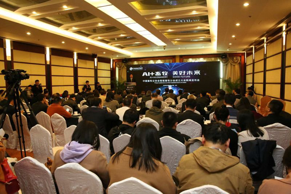 bet8��(�ɷ�)���޹�˾����