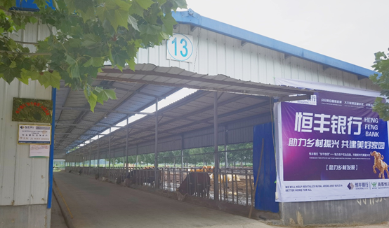 bet8(ɷ)޹˾